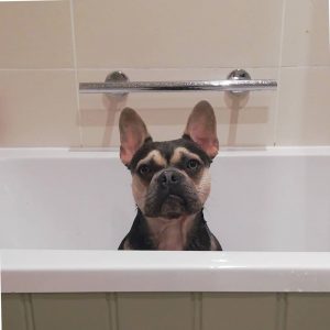 Hugo in bath