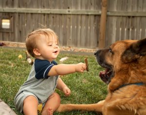 Baby with dog