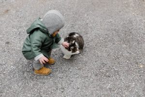 Young child stroking cat