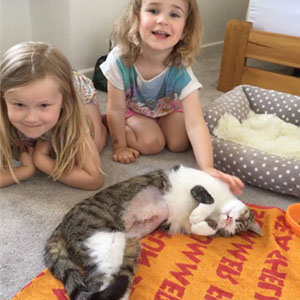Kids with sick cat