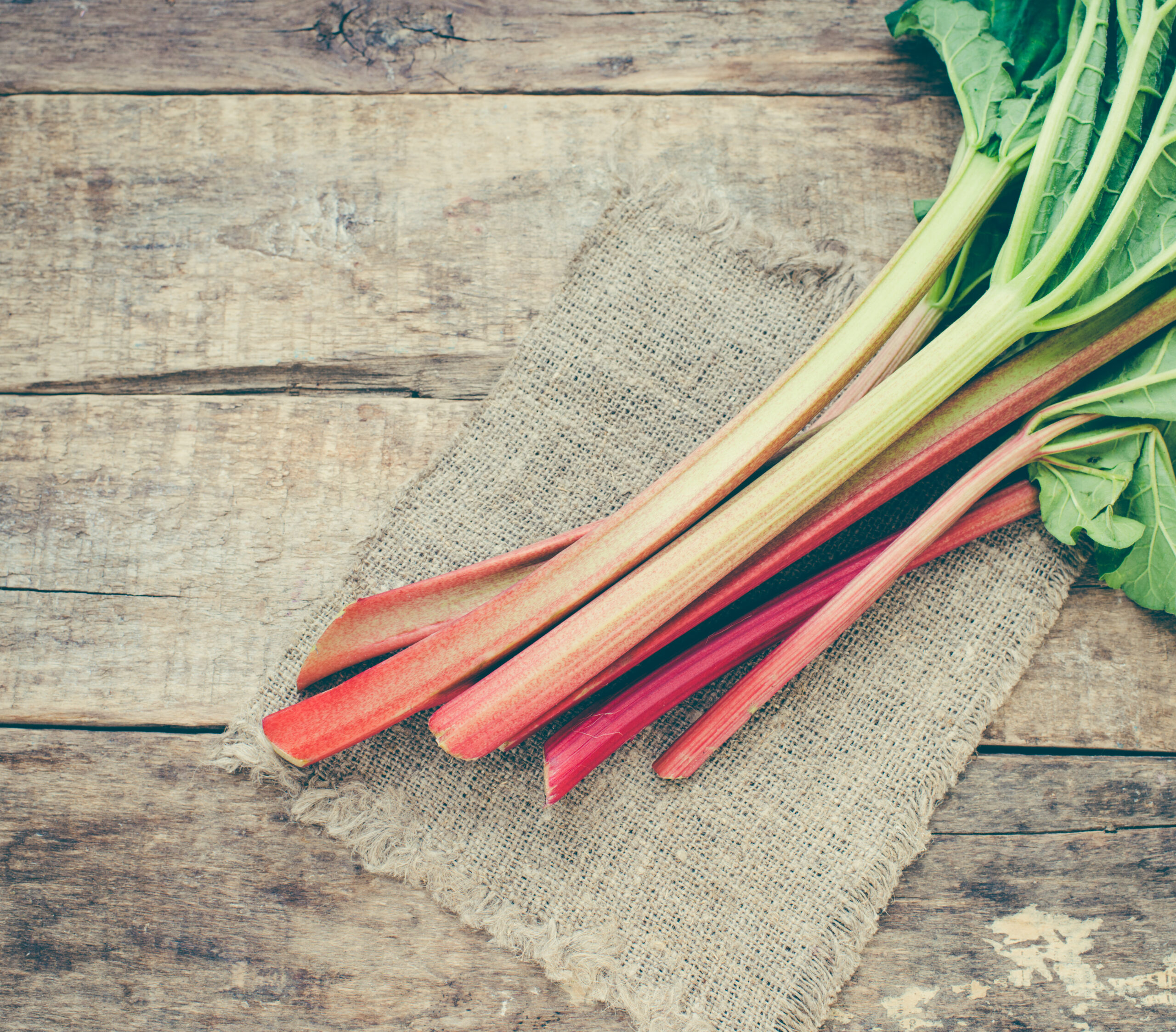 rhubarb