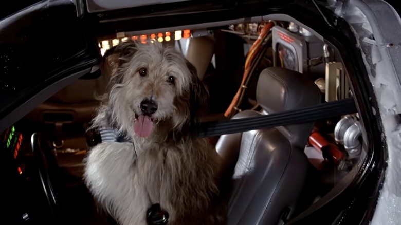 Einstein from Back to the Future